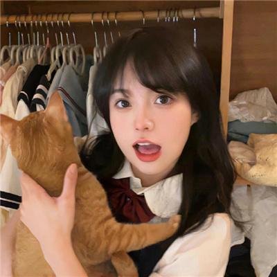 超完美狗保姆