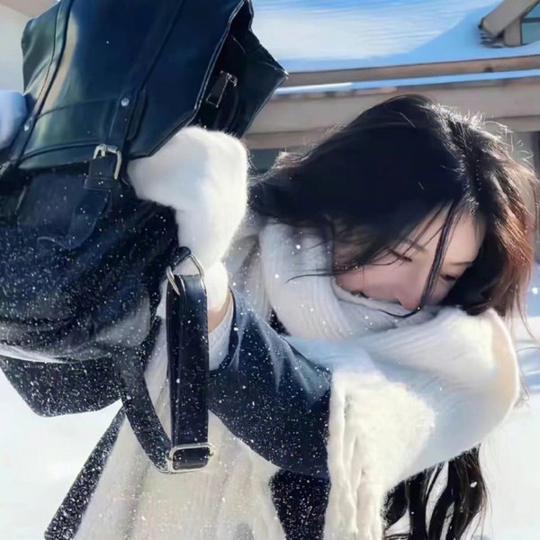 雁归西窗月